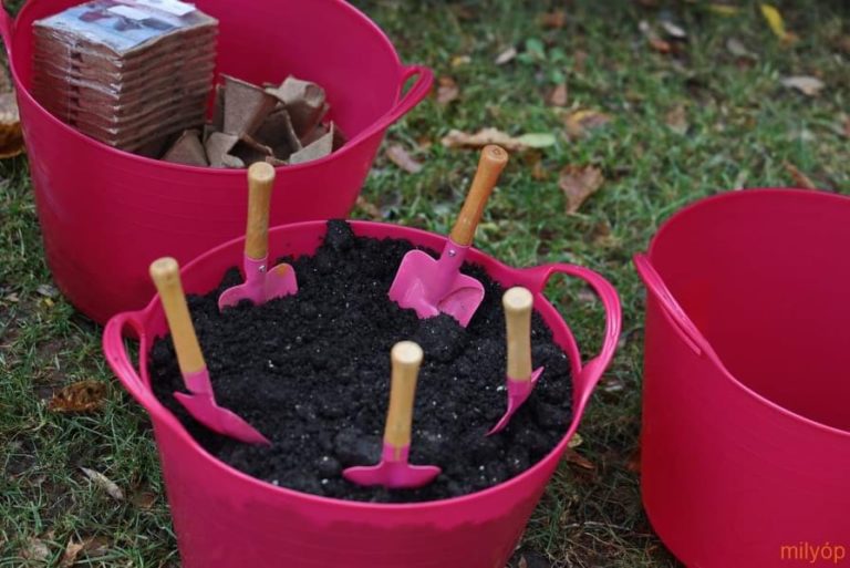 Read more about the article Ökokert-gazdálkodás – helyzetkép