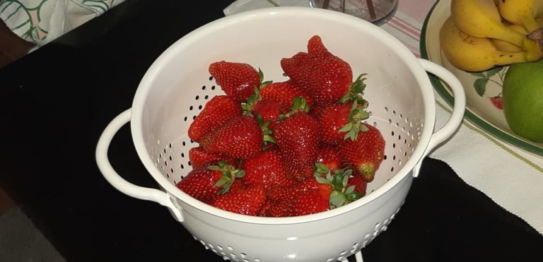 Read more about the article Újra nyit a Vackor kert