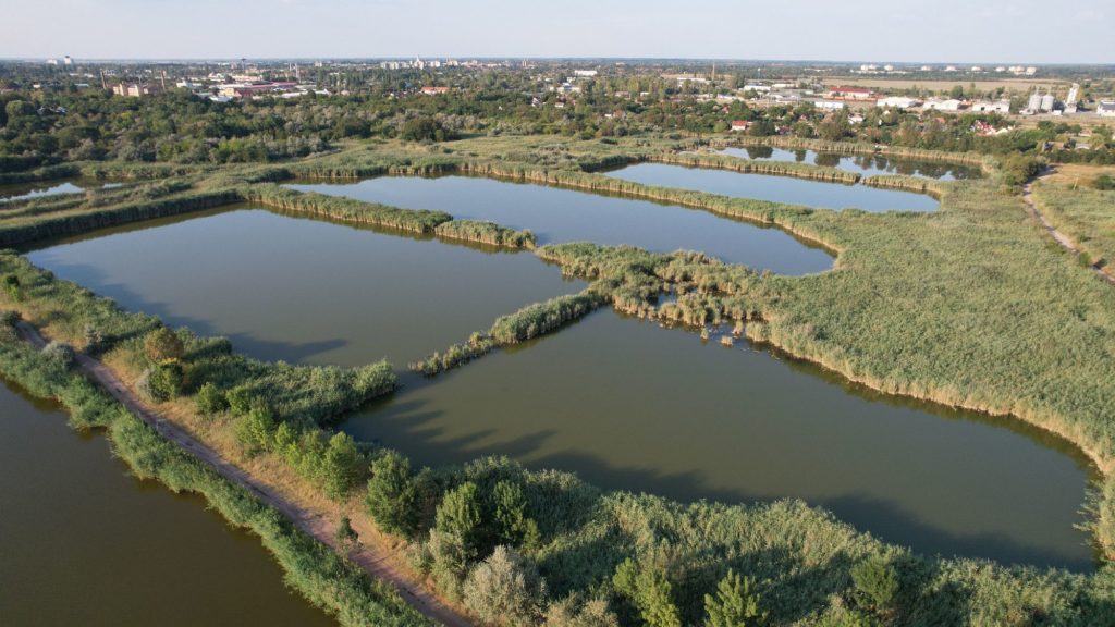 Read more about the article Jaminai-bányatavak természeti állapotának felmérése – ökológiai és rekreációs célú javaslatok