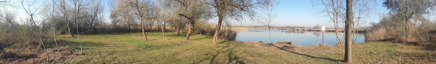 Vizes élőhely és vízmegtartó tájelem Békéscsaba térségében