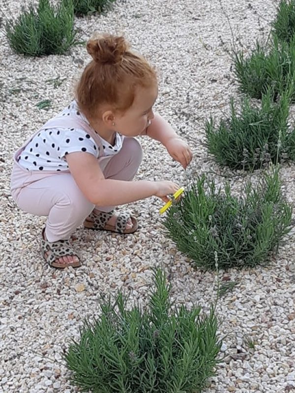 95919333_3244974515526241_5538154771057213440_n