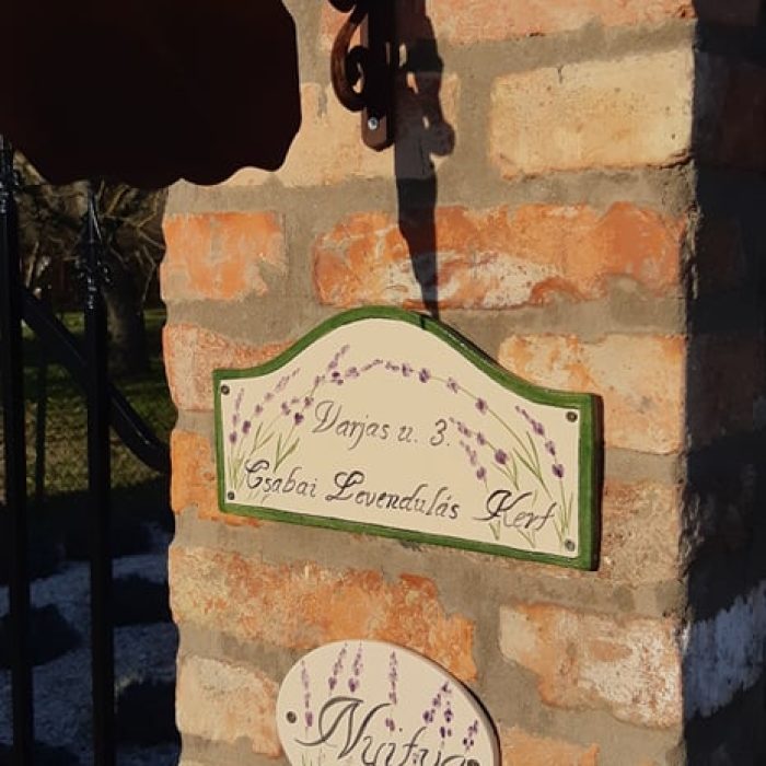 95922150_2719032008328803_3798785546952638464_n