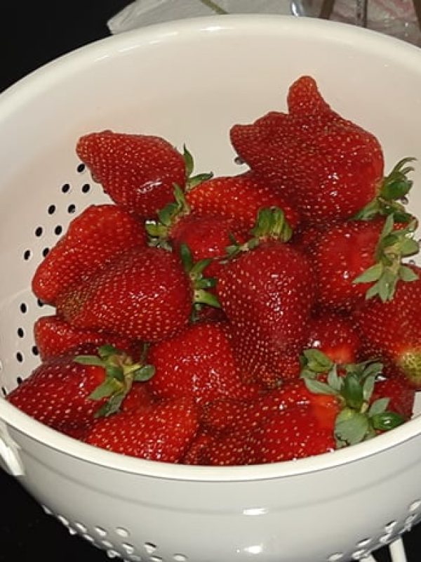 95977608_1672501189583390_5744071291527233536_n